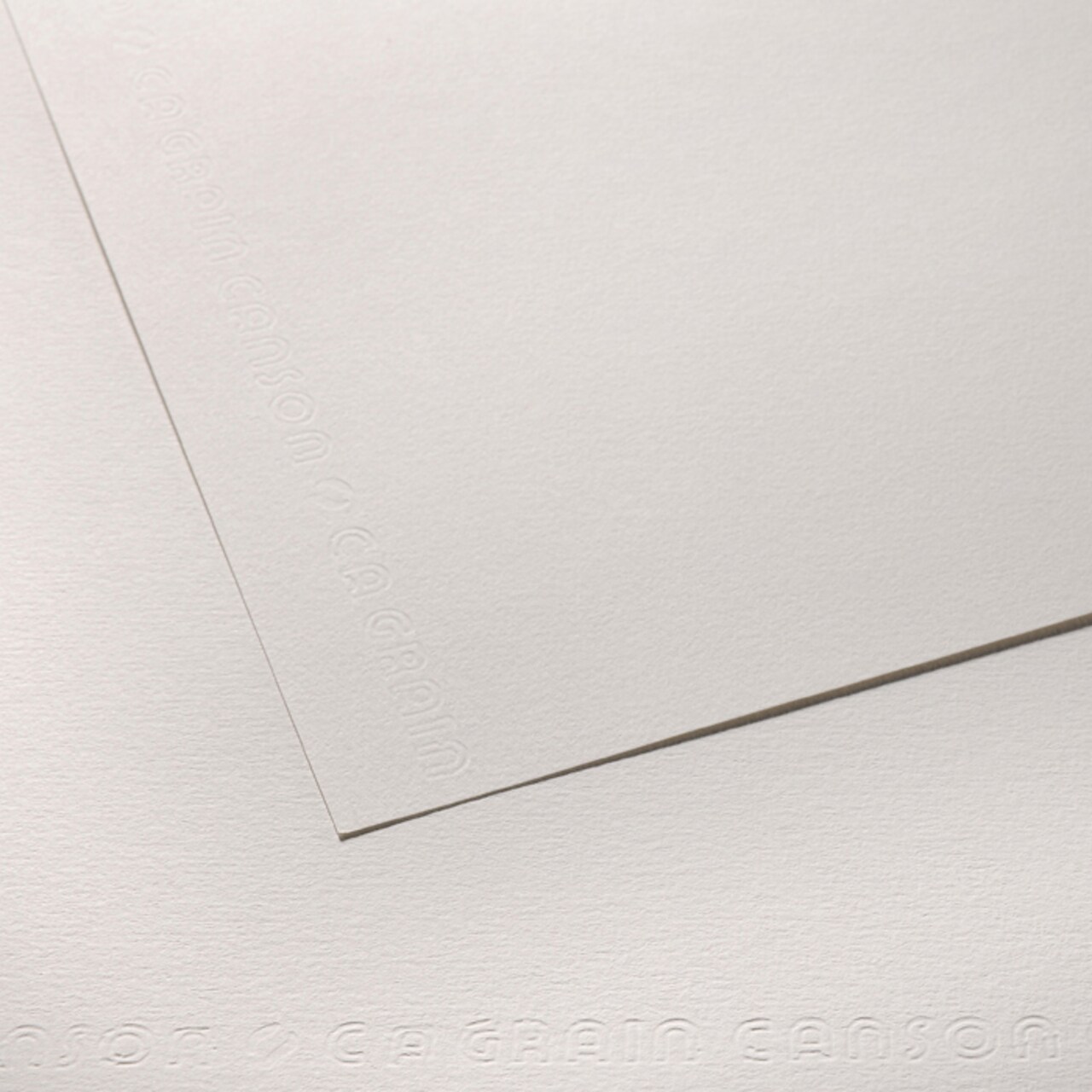 Canson Artist Series C Grain Drawing Sheet 224G 19.5"X25.5"-Sheet